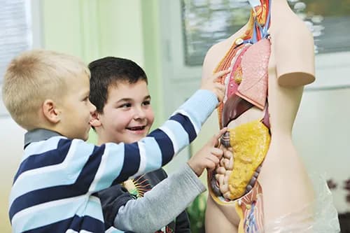 Biologia praca po studiach: najlepsze możliwości zatrudnienia i kariery